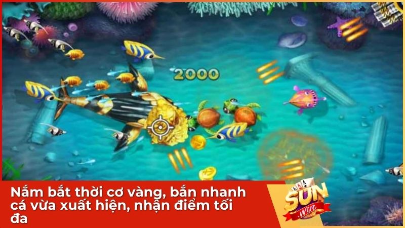 Nắm bắt thời cơ vàng giúp bạn tiết kiệm đạn đáng kể